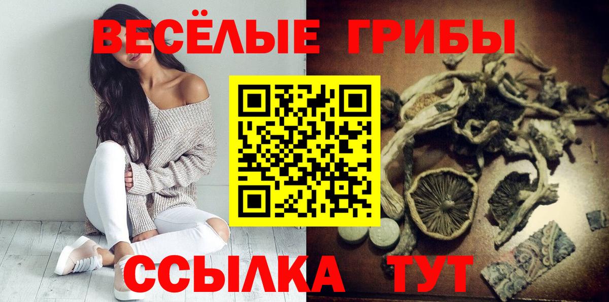 Галлюциногенные грибы Psilocybe  Псилоцибиновые грибы мухоморы  Вход с VPN  Ипатово 