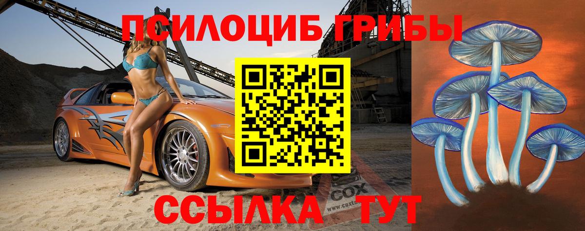 Галлюциногенные грибы Psilocybine cubensis Ипатово